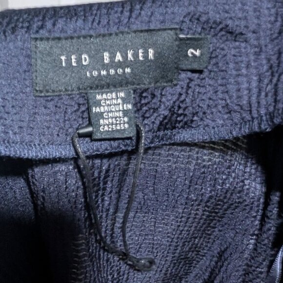 NEW! Ted Baker | Francic Hammered Satin Slip Midi Skirt - Picture 4 of 9